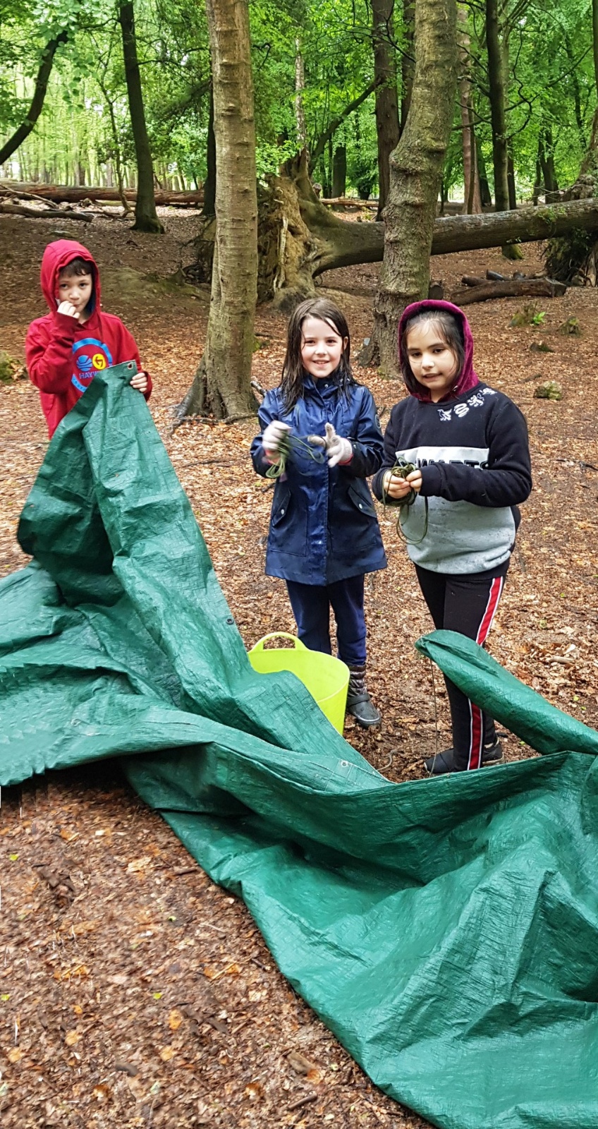 20190529 153948 2 (Large)